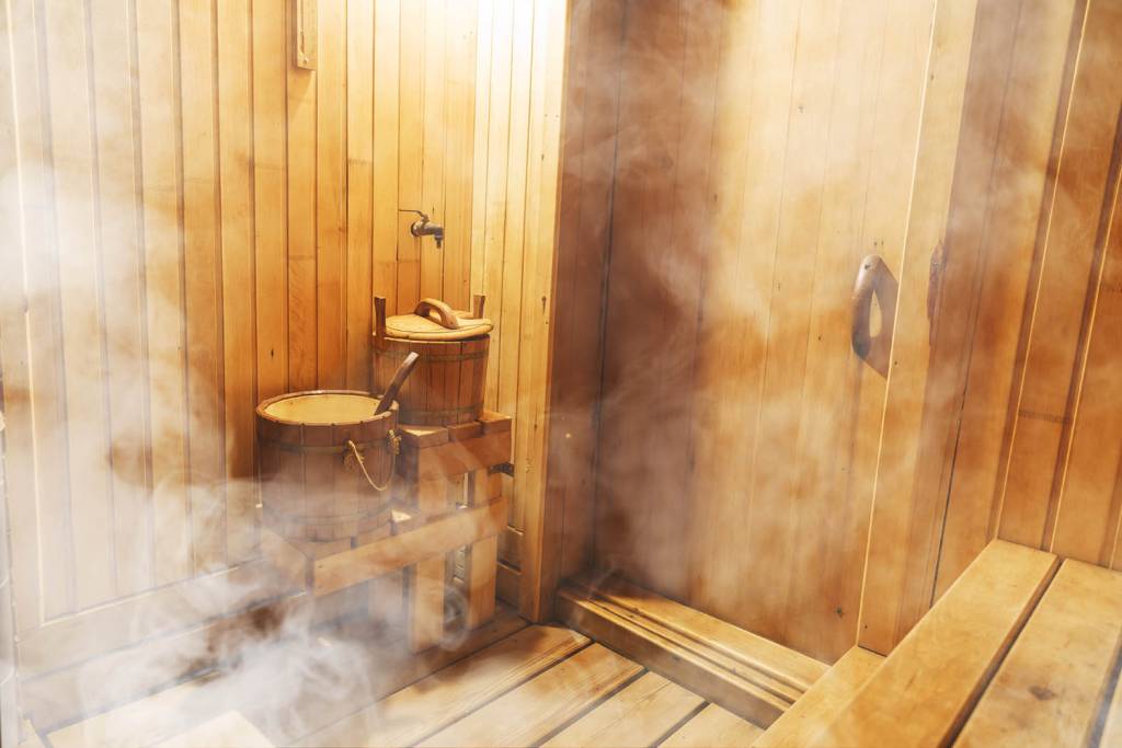 Sauna, Dampf oder Infrarot?