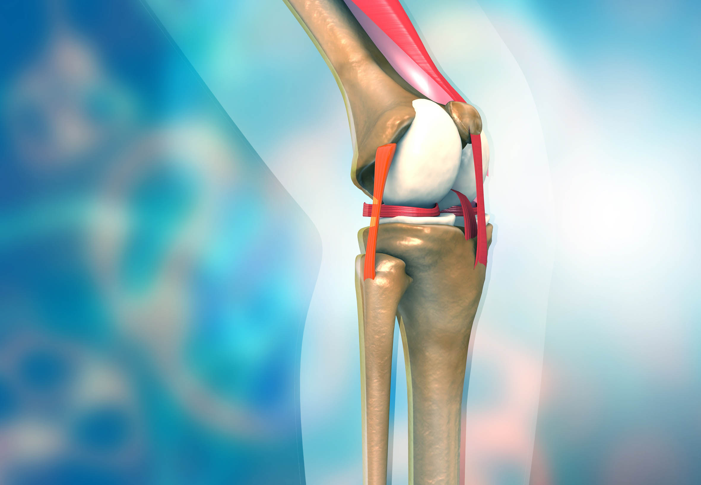 Passive Bewegungsschienen nach Knie- oder Schultergelenks-OP