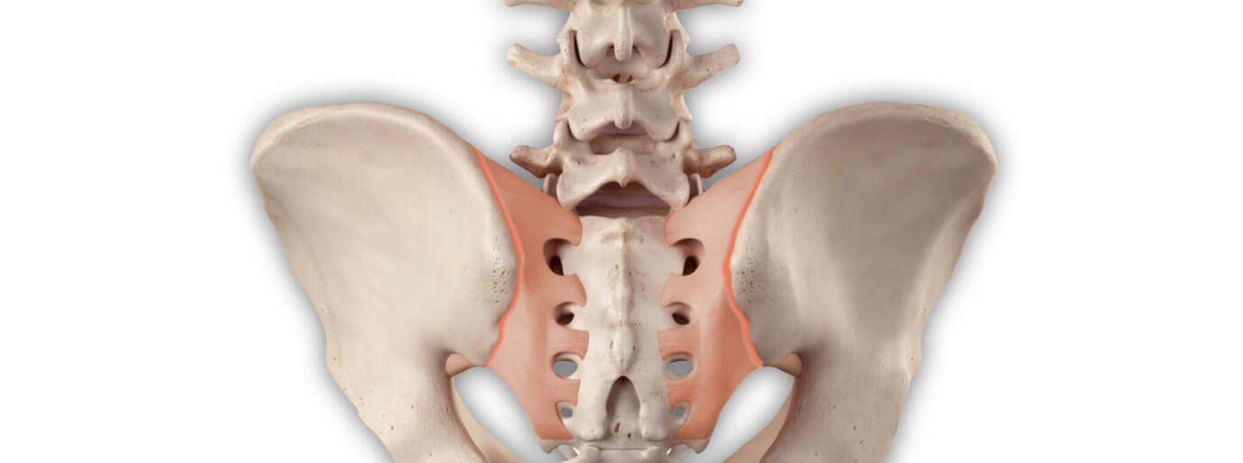 Iliosakralgelenk | Was tun bei Schmerzen im unteren Rücken?