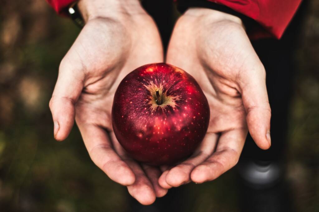 red apple on hand