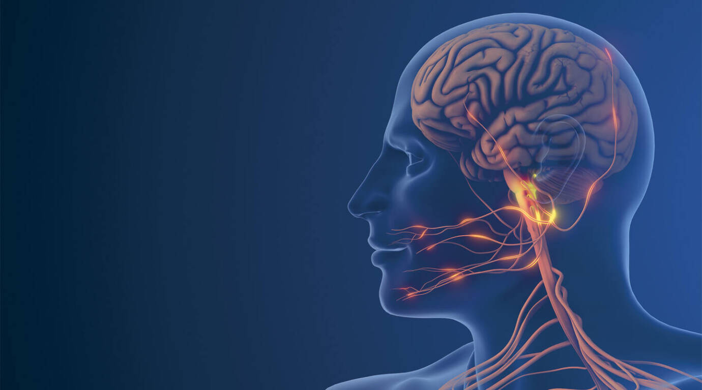 red neuropathien aufm