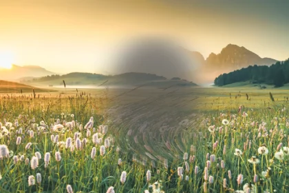 AMD und Vorsorge Augengesundheit