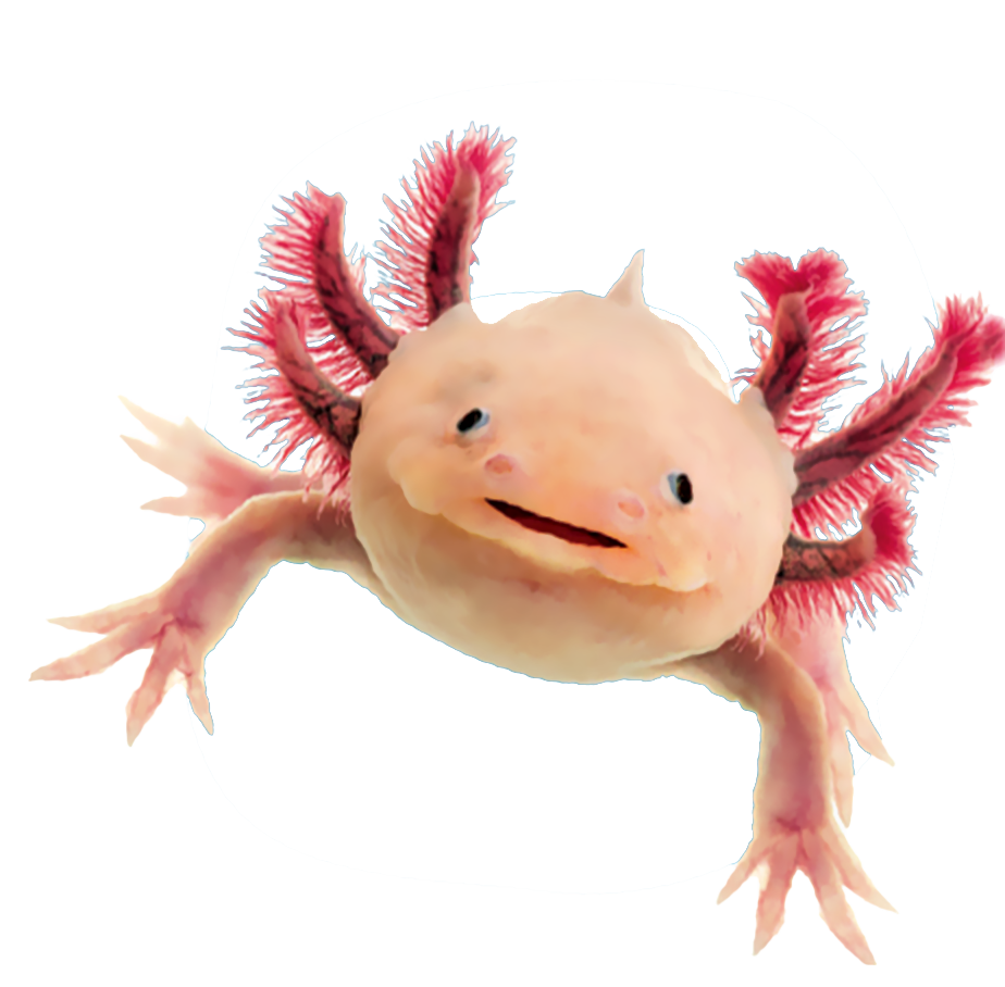 Axolotl – Vorbild für die Axomera-Therapie
