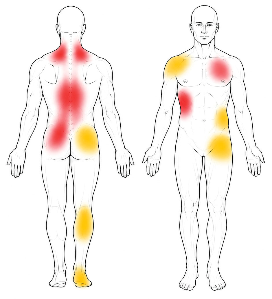 Buch: Endlich schmerzfrei mit Trigger-Osteopraktik